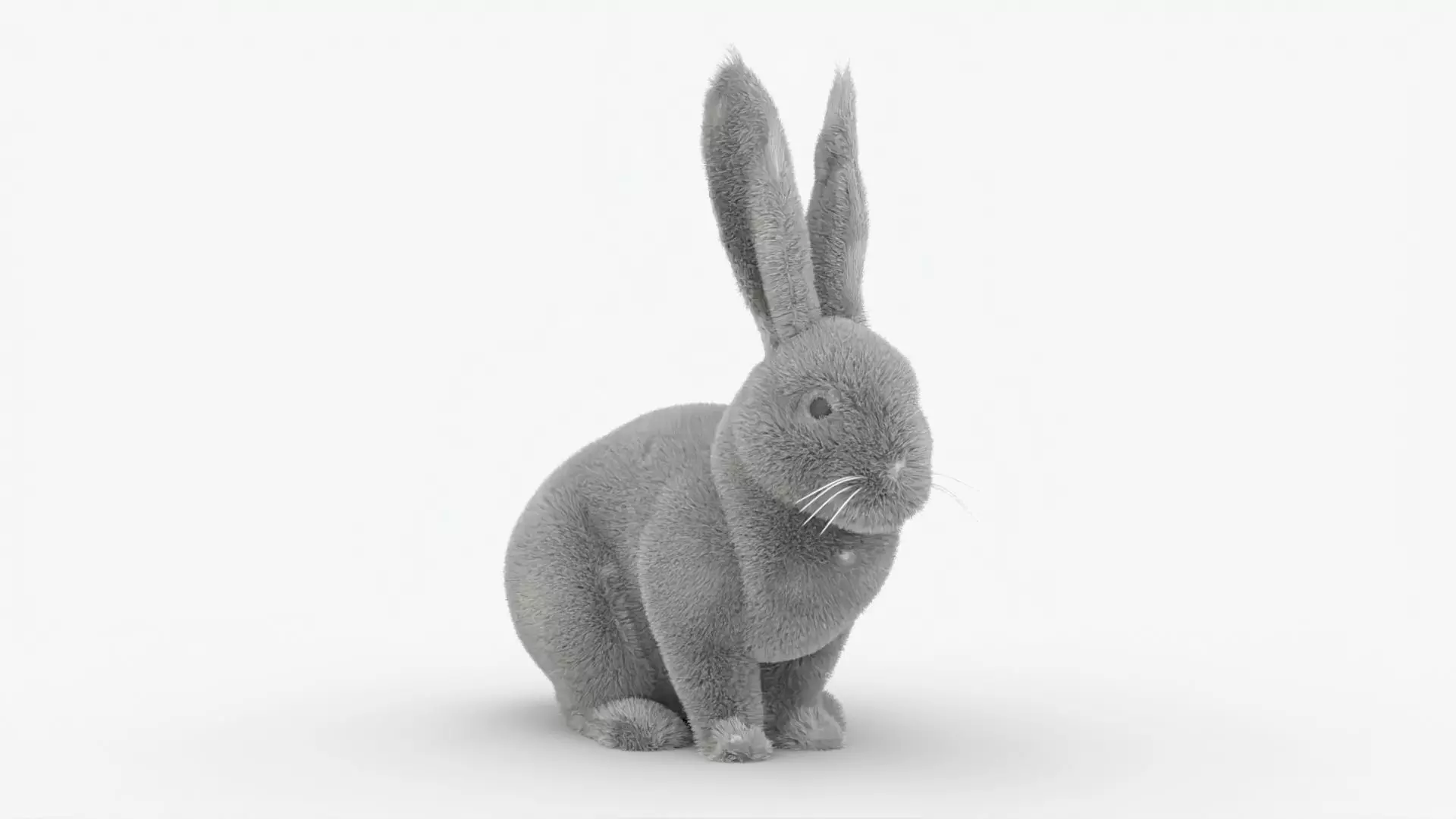 Dirty Rigged Rabbit with XGEN fur for MAYA Arnold Low-poly 3D model_0