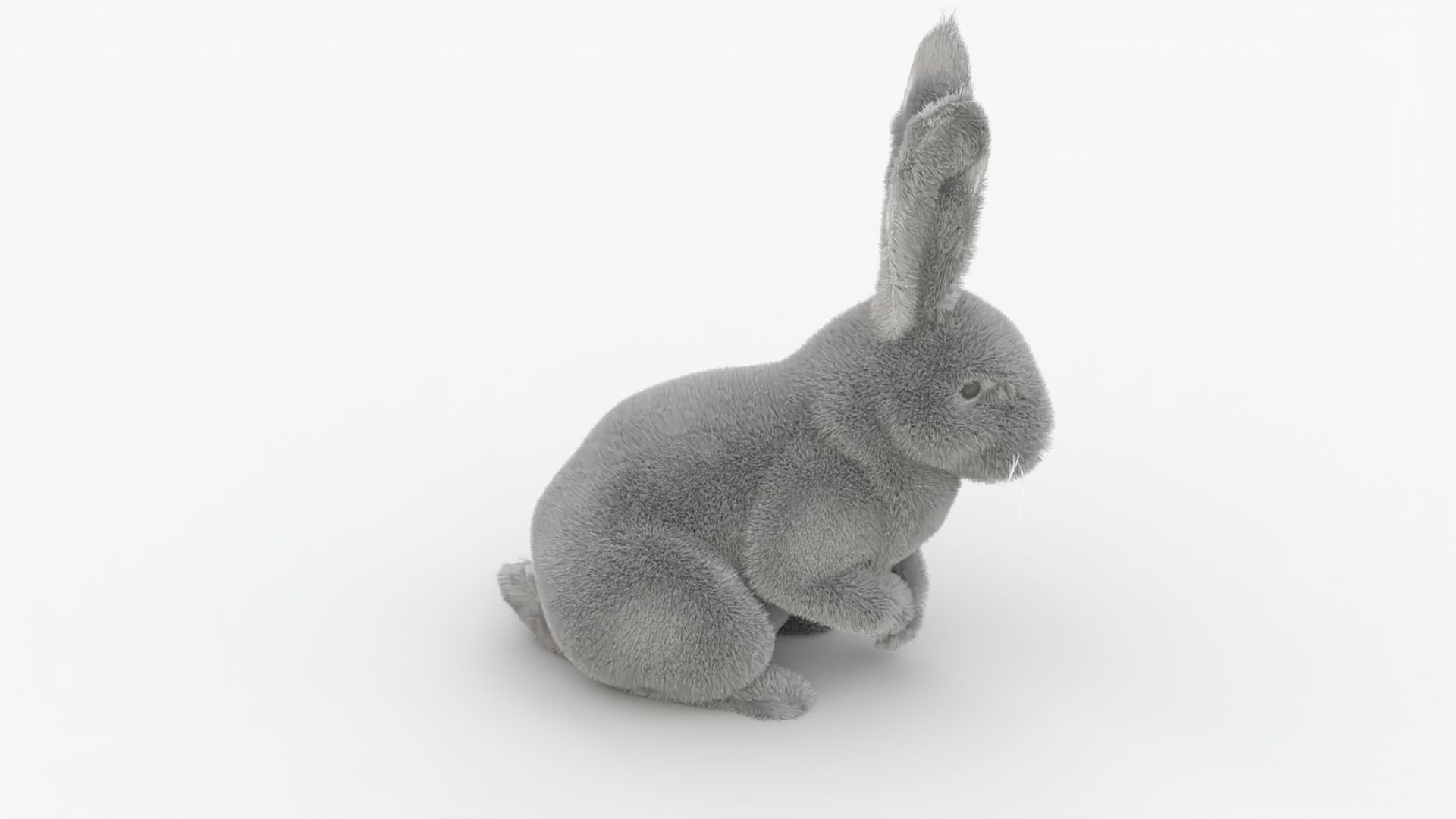 Dirty Rigged Rabbit with XGEN fur for MAYA Arnold Low-poly 3D model_8
