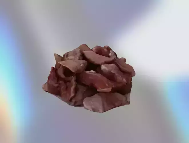 Raw chicken meat slices