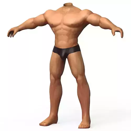 Male Body Base Mesh
