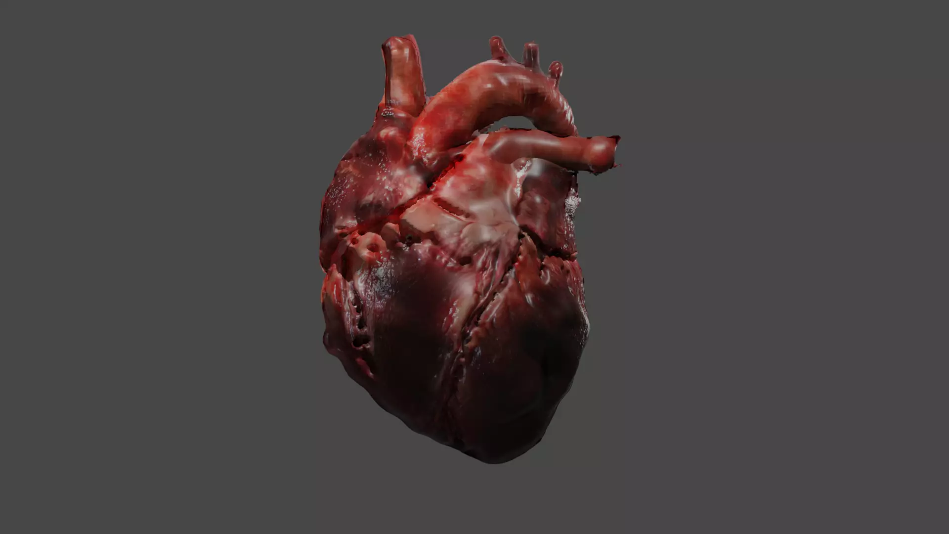 Realistic Human Heart Free low-poly 3D model