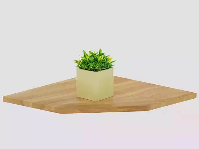 Homode Corner Shef Wall Mount