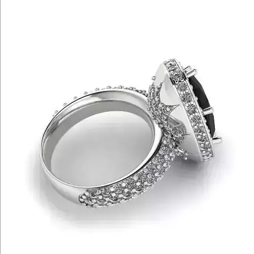 Ring Model 2420