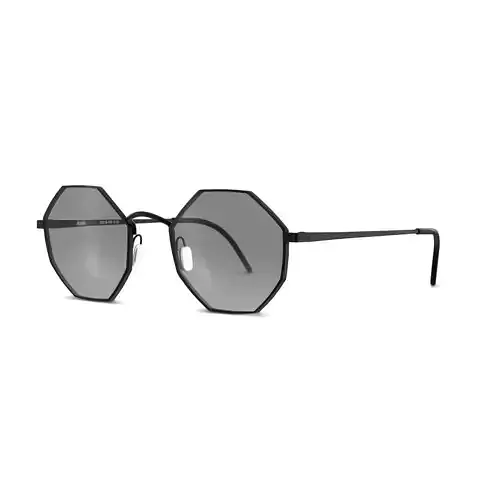 Eco - MACAU BLK Sunglasses  Low-poly 3D model