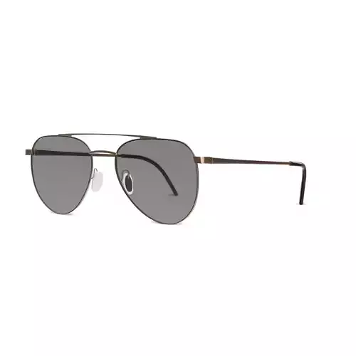 Eco - NASSAU GRNG Sunglasses  Low-poly 3D model