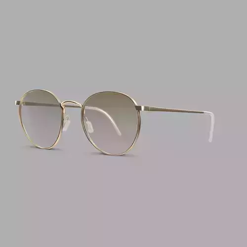 Eco - BELIZE GOLD Sunglasses  Low-poly 3D model