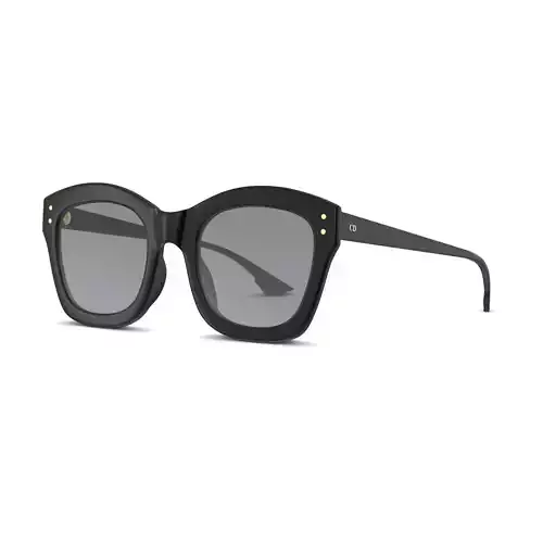 Dior - DIORIZON2 Sunglasses Low-poly 3D model