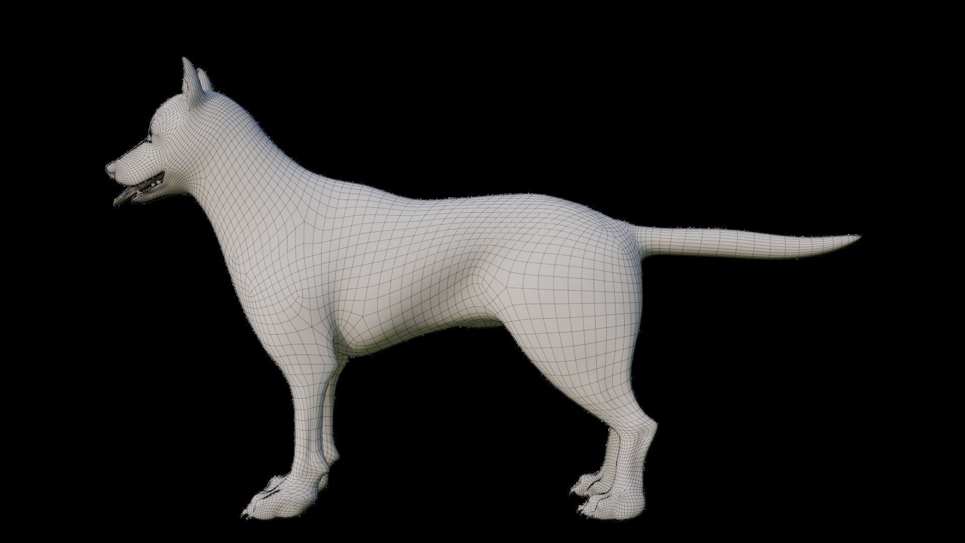 Fur Gray Wolf Rigged V02 in Blender Low-poly 3D model_30