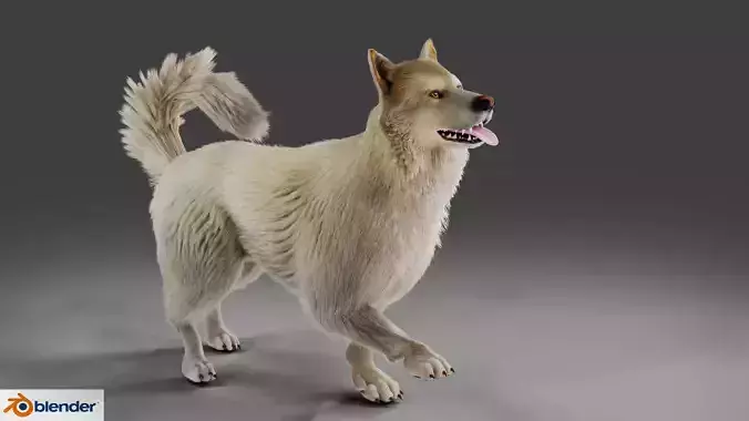 Fur Gray Wolf Rigged V02 in Blender Low-poly 3D model