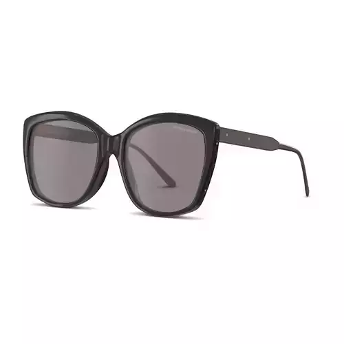 Bottega Veneta - BV0182S Sunglasses  Low-poly 3D model