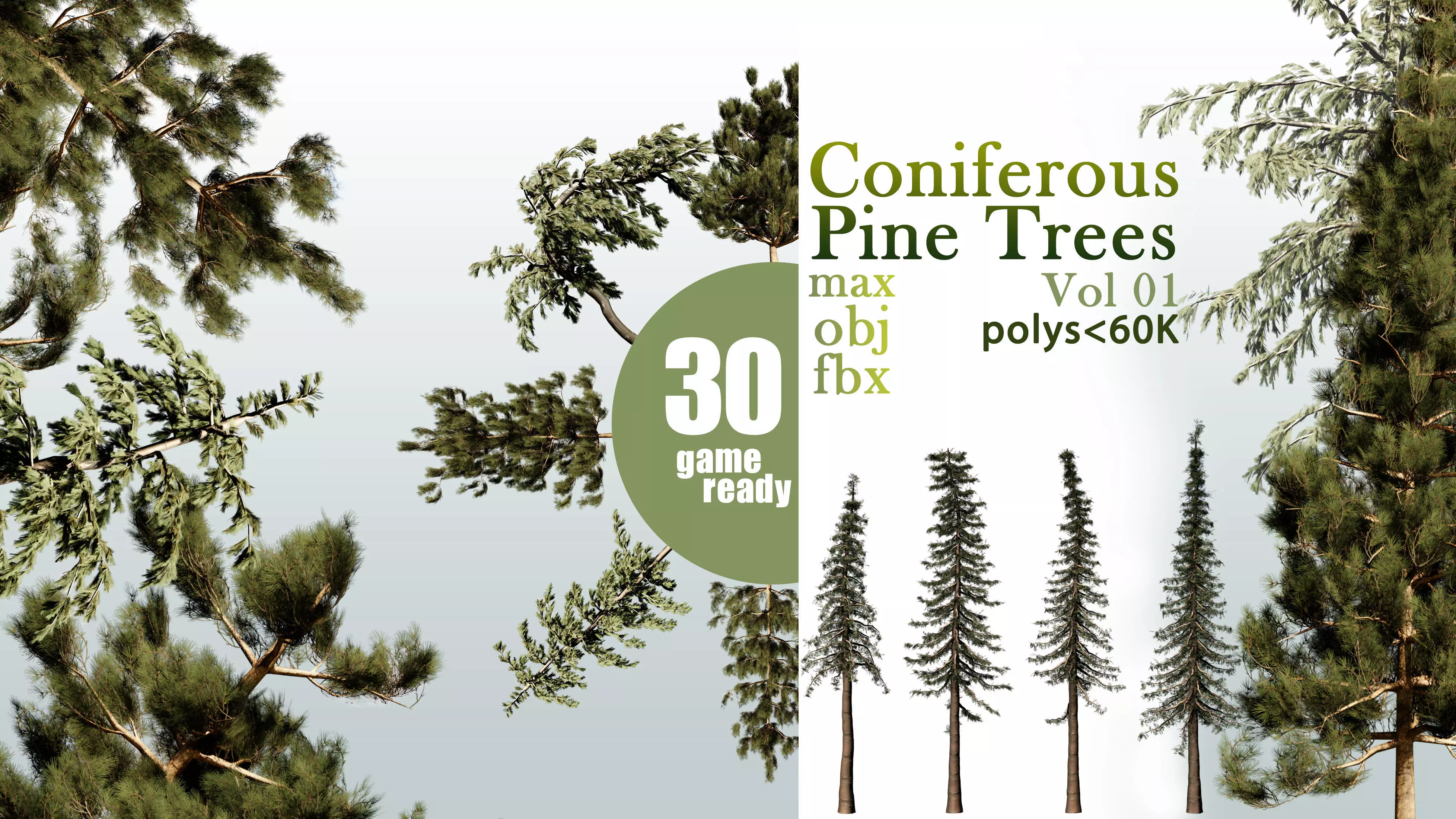 30 Coniferous Pine Trees VOL 01 Low-poly 3D model_0