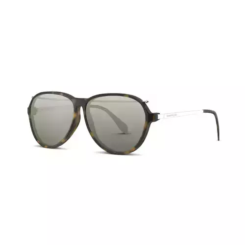 Alexander Mcqueen - AM0193S-004 Sunglasses Low-poly 3D model