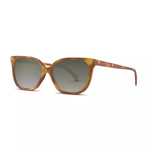 Alexander Mcqueen - AM0188S Sunglasses Low-poly 3D model