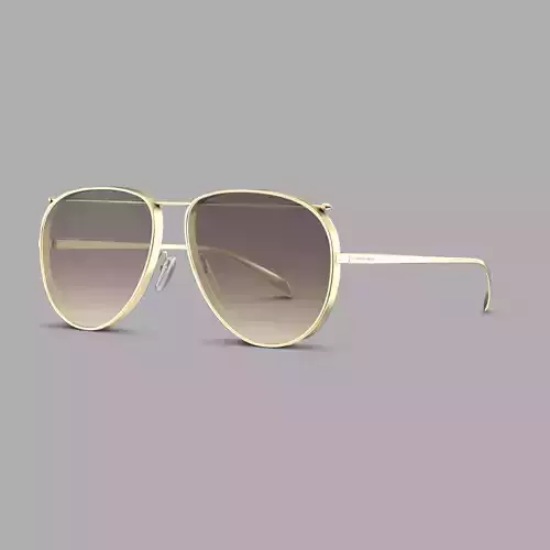 Alexander McQueen  - AM0170S 001 Sunglasses  Low-poly 3D model