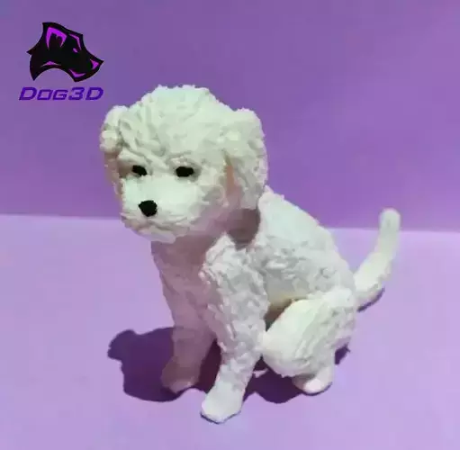 Maltese dog - 3D printable 3D print model