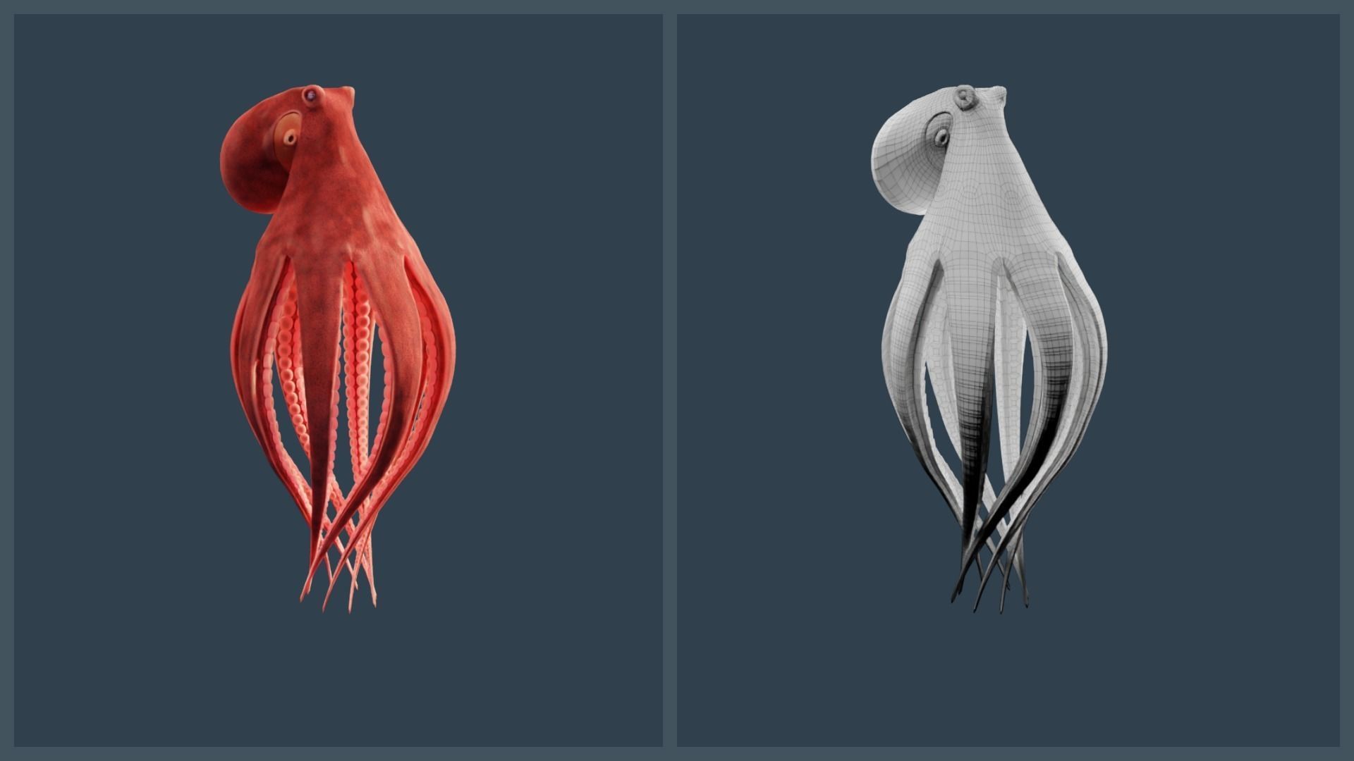 Animated Giant Pacific Octopus Low-poly 3D model_12