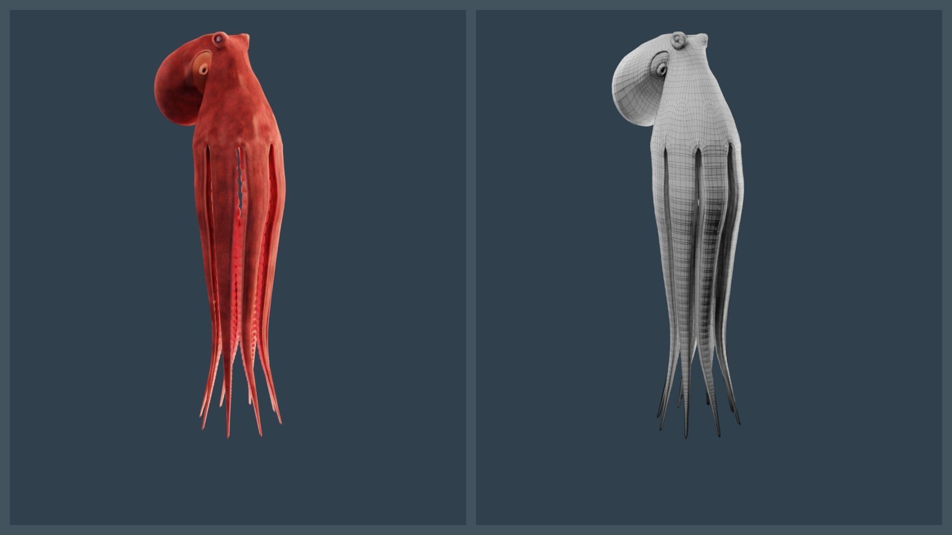 Animated Giant Pacific Octopus Low-poly 3D model_9