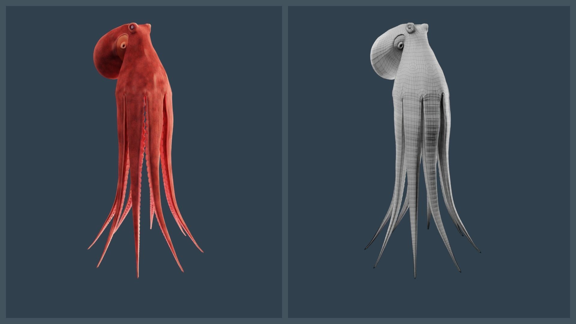 Animated Giant Pacific Octopus Low-poly 3D model_22