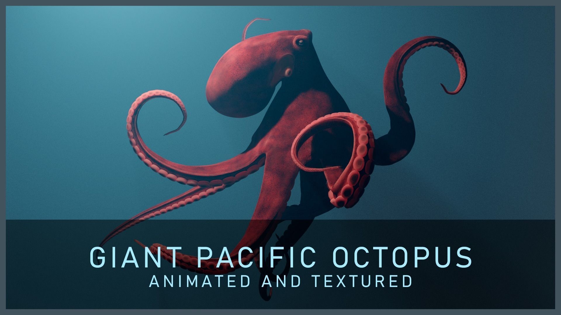 Animated Giant Pacific Octopus Low-poly 3D model_26