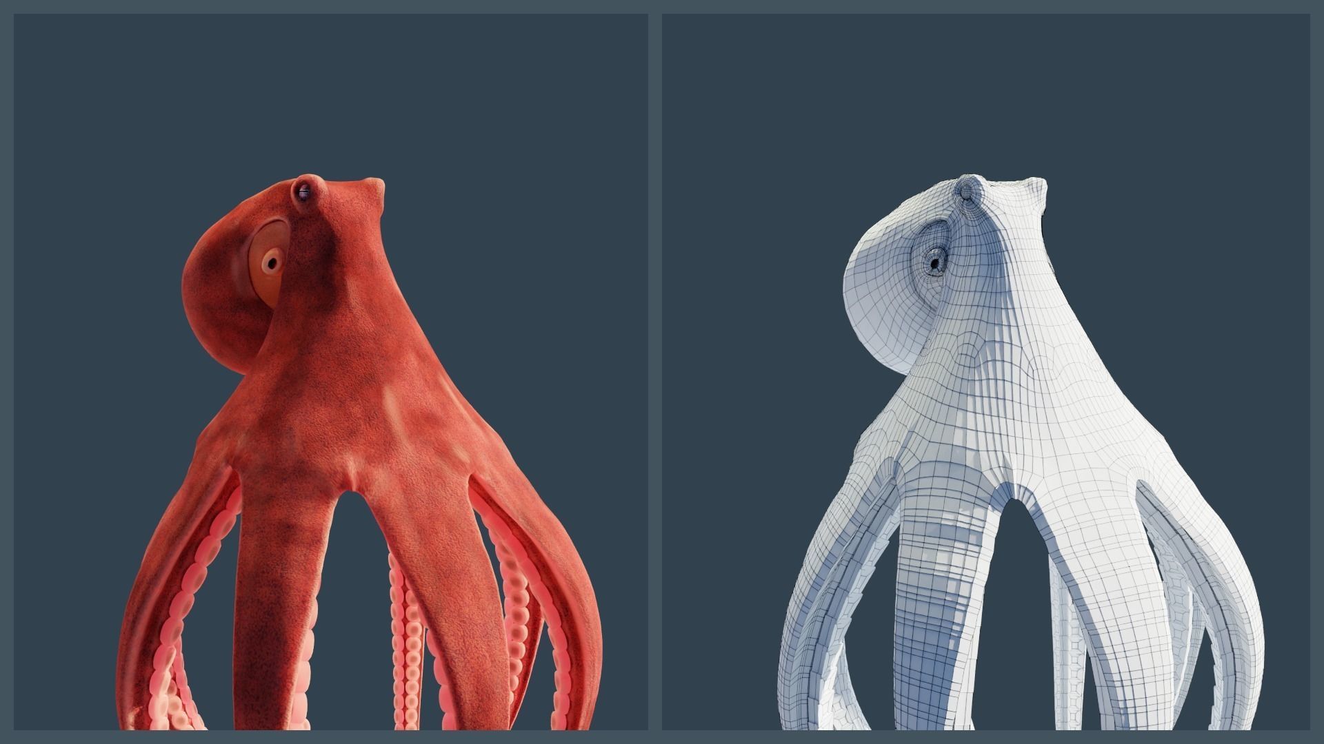 Animated Giant Pacific Octopus Low-poly 3D model_8