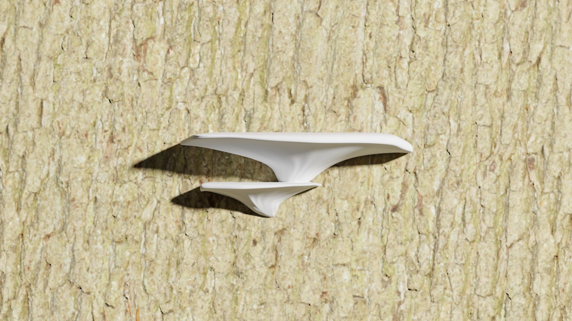 Wall Mushroom Polypore 3D print model_1