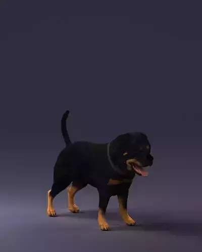 Black dog breed rottweiler 0160 3D Print Ready 3D print model