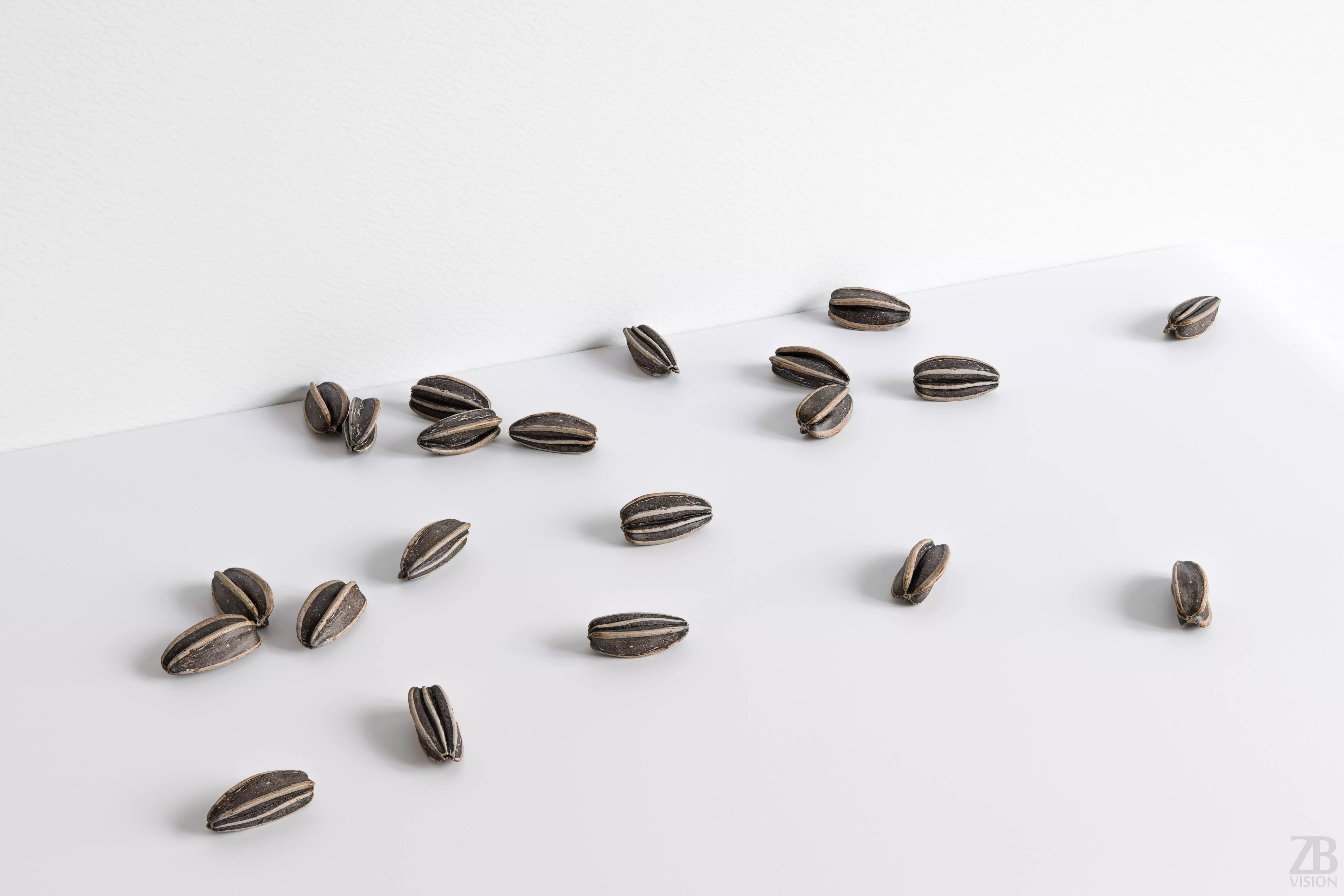 Sunflower Seed 3D model