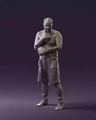 Boxer in gray 0781 3D Print Ready