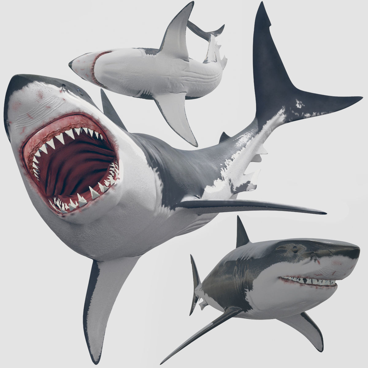 Farm and Forest Animal Pack HD - Animated 3D model_57