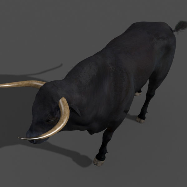 Farm and Forest Animal Pack HD - Animated 3D model_29