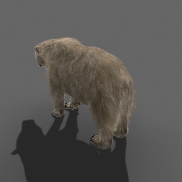 Farm and Forest Animal Pack HD - Animated 3D model_100