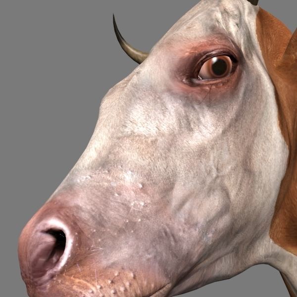 Farm and Forest Animal Pack HD - Animated 3D model_117