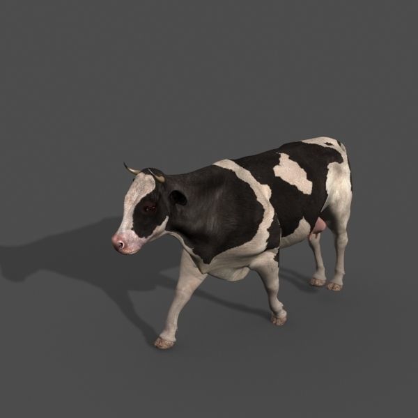 Farm and Forest Animal Pack HD - Animated 3D model_125