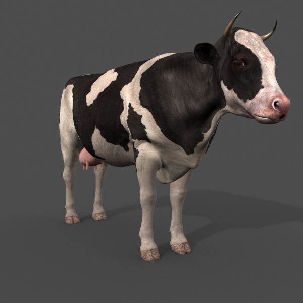 Farm and Forest Animal Pack HD - Animated 3D model_114