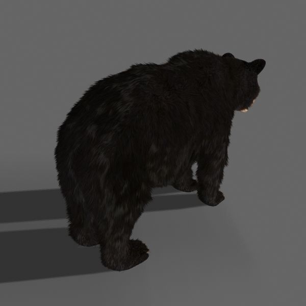 Farm and Forest Animal Pack HD - Animated 3D model_95