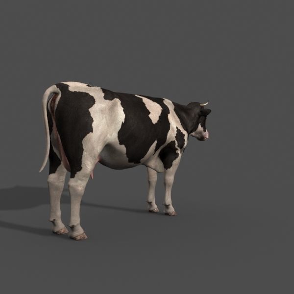 Farm and Forest Animal Pack HD - Animated 3D model_123