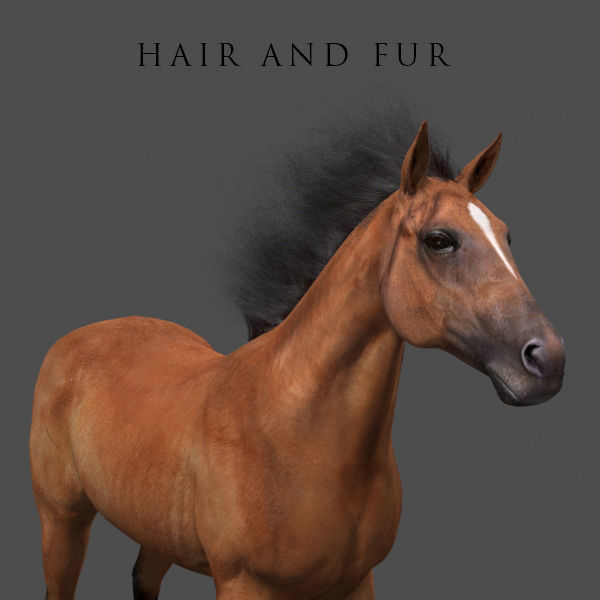 Farm and Forest Animal Pack HD - Animated 3D model_18