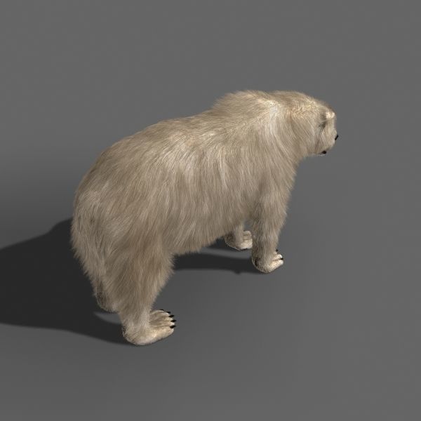 Farm and Forest Animal Pack HD - Animated 3D model_99