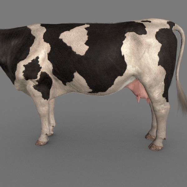 Farm and Forest Animal Pack HD - Animated 3D model_115