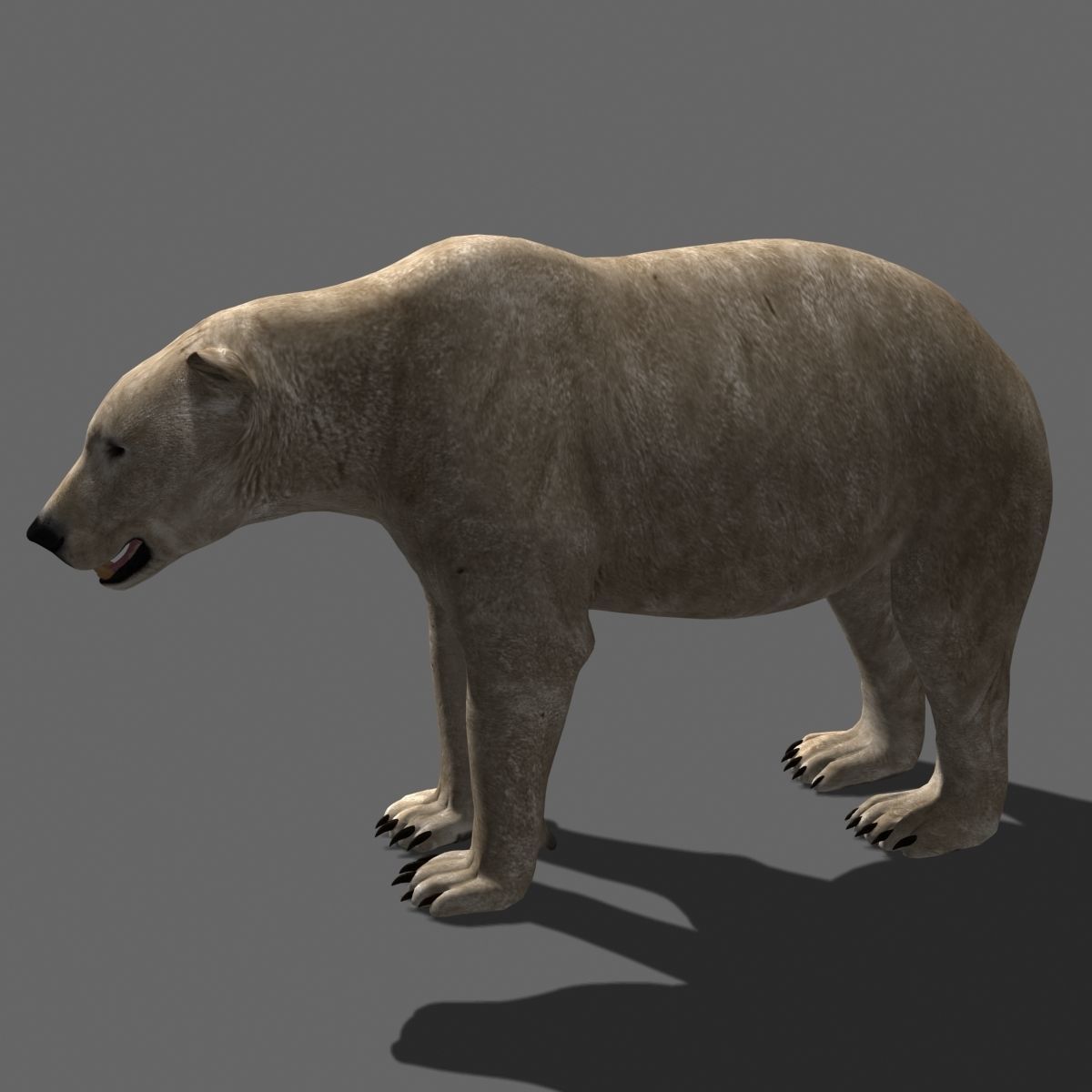 Farm and Forest Animal Pack HD - Animated 3D model_101