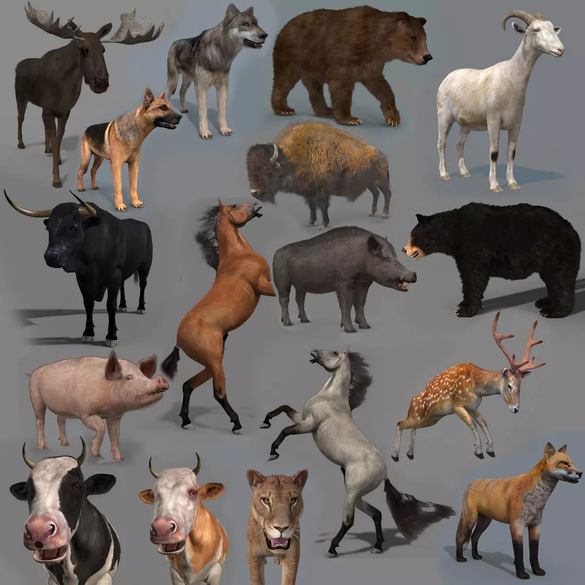 Farm and Forest Animal Pack HD - Animated 3D model_0