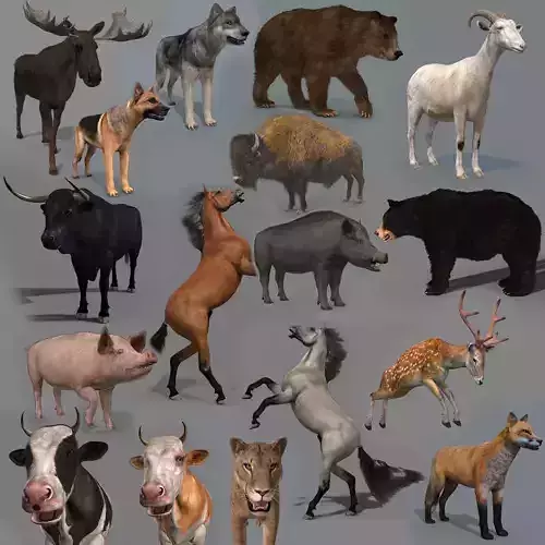 Farm and Forest Animal Pack HD - Animated 3D model
