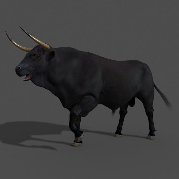 Farm and Forest Animal Pack HD - Animated 3D model_28