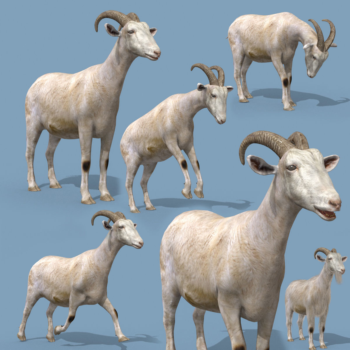 Farm and Forest Animal Pack HD - Animated 3D model_143
