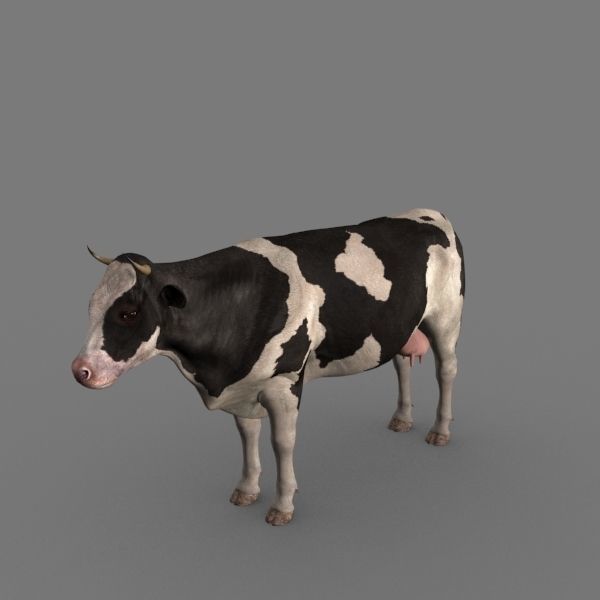 Farm and Forest Animal Pack HD - Animated 3D model_124