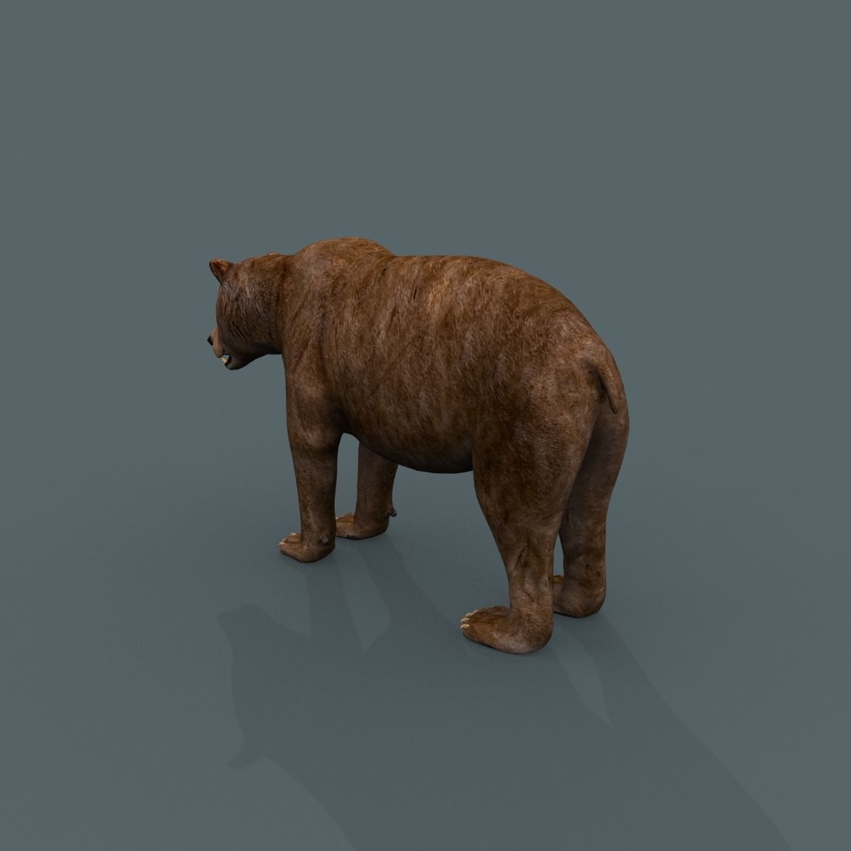 Farm and Forest Animal Pack HD - Animated 3D model_90