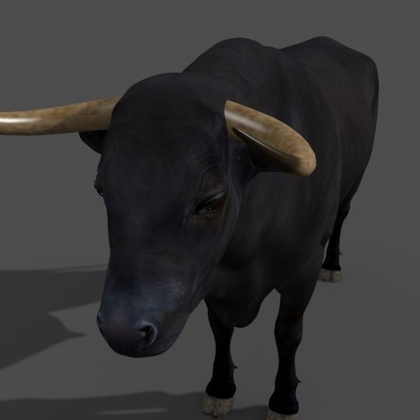 Farm and Forest Animal Pack HD - Animated 3D model_23