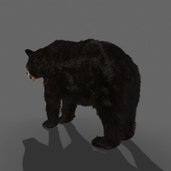 Farm and Forest Animal Pack HD - Animated 3D model_96