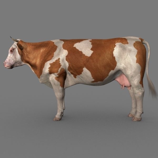 Farm and Forest Animal Pack HD - Animated 3D model_116