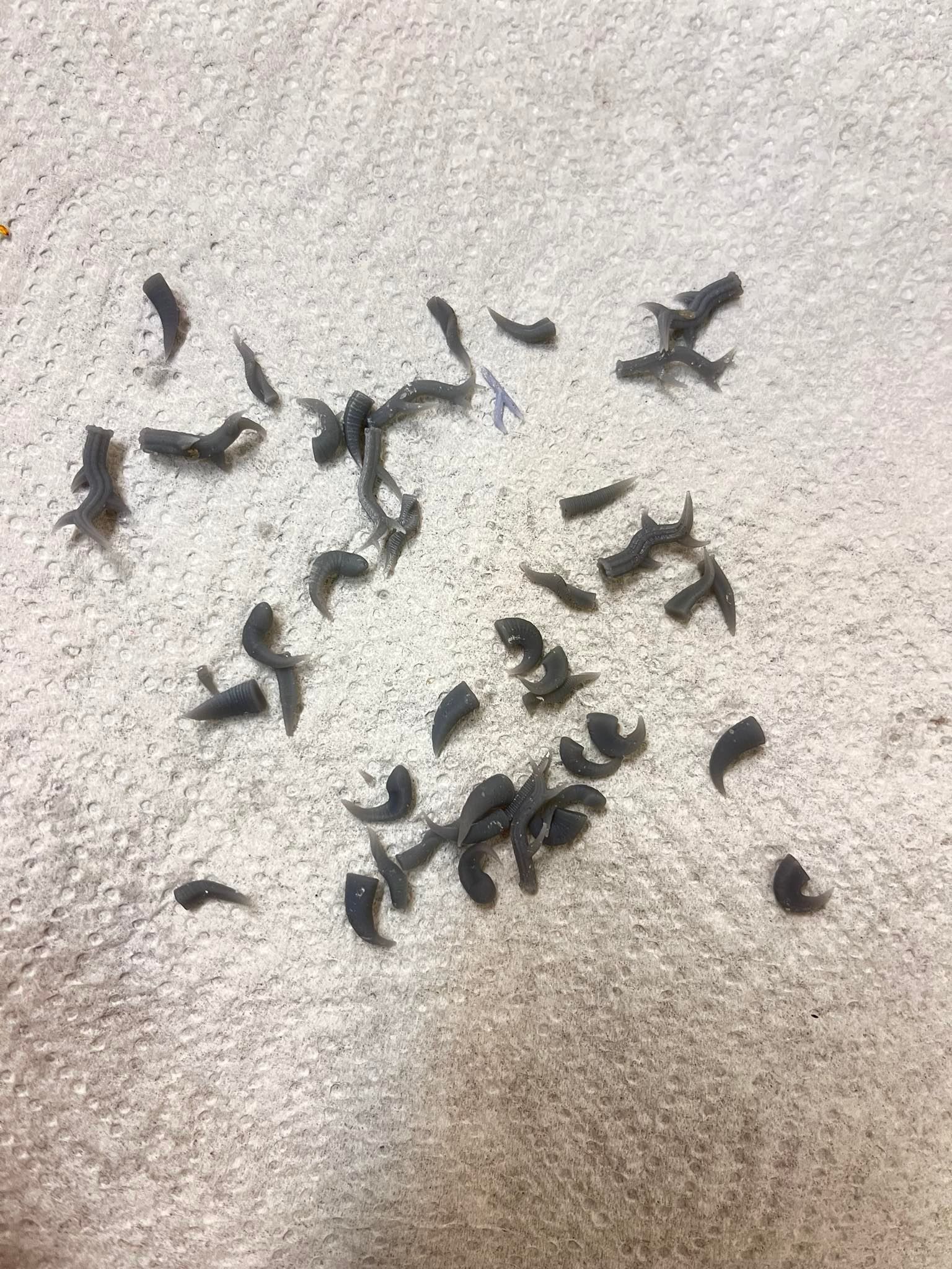 horns and antlers 3D print model_1